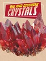 Dig and Discover Crystals - Anita Nahta Amin - 9781398245167