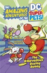 The Marvellous Boxing Bunny - Steve Korte - 9781398247512