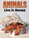 Animals Live in Homes - Nadia Ali - 9781398250215
