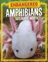 Endangered Amphibians Around the World - Lisa J. Amstutz - 9781398258471
