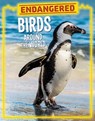 Endangered Birds Around the World - Lisa J. Amstutz - 9781398258532