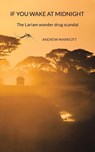 If You Wake at Midnight - Andrew Marriott - 9781398454507