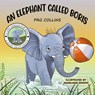 An Elephant Called Boris - PRG Collins - 9781398467460
