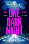 One Dark Night - Hannah Richell - 9781398528031