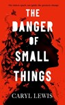 The Danger of Small Things - Caryl Lewis - 9781398549272