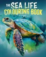 The Sea Life Colouring Book - Tansy Willow - 9781398840201