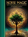 Norse Magic: Spellcrafting with the Gods and Goddesses of the Nordic Tradition - Marie Bruce - 9781398850729