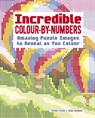Incredible Colour-by-Numbers - Diego Vaisberg - 9781398854444