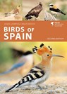 Birds of Spain - James Lowen ; Carlos Bocos Gonzalez - 9781399405010