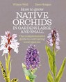 How to Grow Native Orchids in Gardens Large and Small - Wilson Wall ; Dave Morgan - 9781399426190