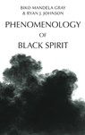 Phenomenology of Black Spirit - Mandela Biko (Assistant Professor of Religion Gray ; Ryan J. (Associate Professor of Philosophy Johnson - 9781399510974