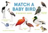 Match a Baby Bird: An Avian Memory Game -  - 9781399608558
