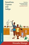Sassafrass, Cypress & Indigo - Ntozake Shange - 9781399639668