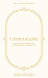 Consolations - Irene Vallejo - 9781399745673