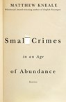 SMALL CRIMES IN AN AGE OF ABUN - Matthew Kneale - 9781400079575