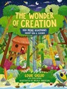 The Wonder of Creation - Louie Giglio - 9781400230464