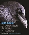 Bird Brain - Nathan Emery - 9781400882861