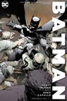 Batman by Scott Snyder and Greg Capullo Omnibus Volume 1 - Scott Snyder - 9781401298845