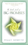 Little Book of Big Promises - Peggy Rometo - 9781401924539