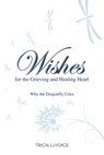 Wishes for the Grieving and Healing Heart - Tricia Lavoice - 9781401941314
