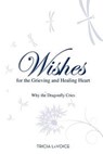 Wishes for the Grieving and Healing Heart - Tricia LaVoice - 9781401942670