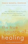 The True Source of Healing - Tenzin Wangyal - 9781401948221