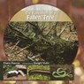 The Ecosystem of a Fallen Tree - PASCOE,  Elaine - 9781404252059