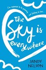 The Sky Is Everywhere - Jandy Nelson - 9781406354386