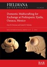Domestic Multicrafting for Exchange at Prehispanic Ejutla, Oaxaca, Mexico - Gary M. Feinman ; Linda M. Nicholas - 9781407361697