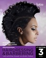Professional Hairdressing & Barbering - Martin (Author) Green ; Leo (Deceased UK) Palladino - 9781408073384