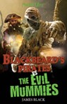 Blackbeard's Pirates vs The Evil Mummies - James Black - 9781408315507