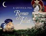 A Guinea Pig Romeo & Juliet - William Shakespeare ; Tess Newall ; Alex Goodwin - 9781408890646