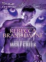 From The Mists Of Wolf Creek (Mills & Boon Intrigue) - Rebecca Brandewyne - 9781408938676