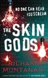 The Skin Gods - Richard Montanari - 9781409036289