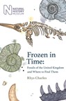 Frozen in Time - Rhys Charles - 9781409197966