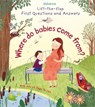 First Questions and Answers: Where do babies come from? - Katie Daynes - 9781409598824
