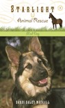 Mad Dog - Dandi Daley Mackall - 9781414312699