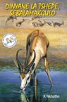  Dinyane La Tshepe, Sebalamakgulo - K Nkhatho - 9781415452745