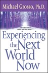 Experiencing the Next World Now - Michael Grosso, Ph.D. - 9781416500179