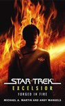 Star Trek: The Original Series: Excelsior: Forged in Fire - Michael A. Martin ; Andy Mangels - 9781416547167