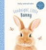Goodnight, Little Bunny: A Board Book - Amanda Wood - 9781419748400