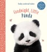 Goodnight, Little Panda: A Board Book - Amanda Wood - 9781419751578