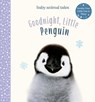 Goodnight, Little Penguin: A Board Book - Amanda Wood - 9781419752889