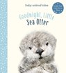 Goodnight, Little Sea Otter - Amanda Wood - 9781419760211