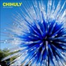 Chihuly 2026 Wall Calendar -  - 9781419779596