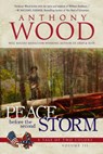 Peace Before the Second Storm: A Story of the Civil War - Anthony Wood - 9781420522891