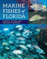 Marine Fishes of Florida - David B. Snyder ; George H. Burgess - 9781421418735