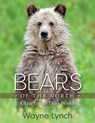 Bears of the North - Wayne Lynch - 9781421439419