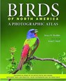 Birds of North America - Bruce M. (Research Scientist and Field Naturalist Beehler - 9781421448268