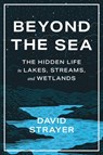 Beyond the Sea - David Strayer - 9781421450070